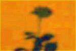 orange (selenorange), Neu-Antikglas gezogen